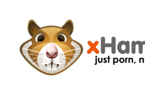 xhamster.net|High